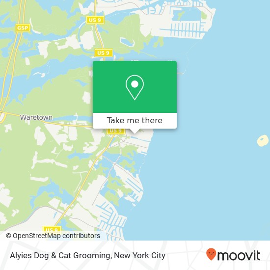 Alyies Dog & Cat Grooming map