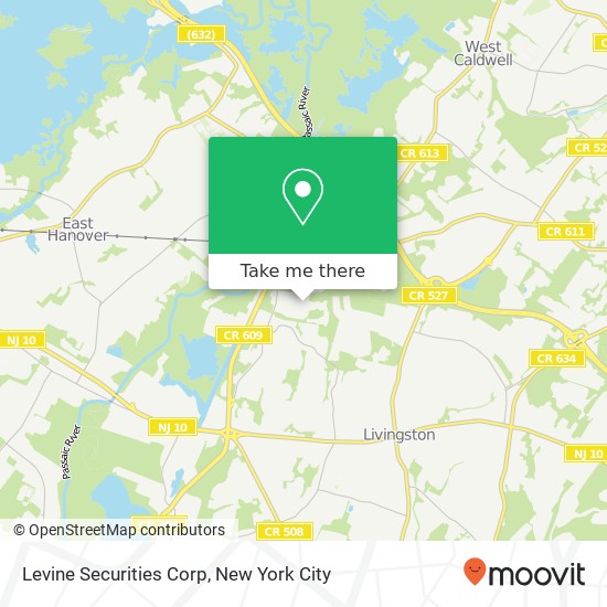 Mapa de Levine Securities Corp