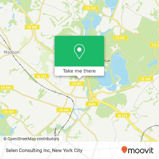 Selen Consulting Inc map