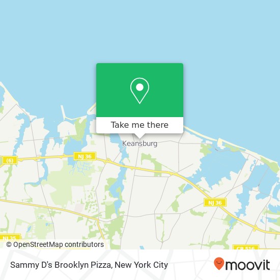 Sammy D's Brooklyn Pizza map