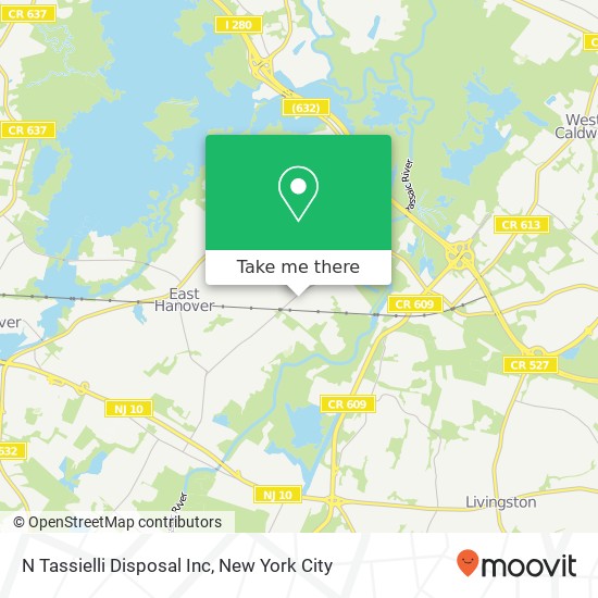 N Tassielli Disposal Inc map