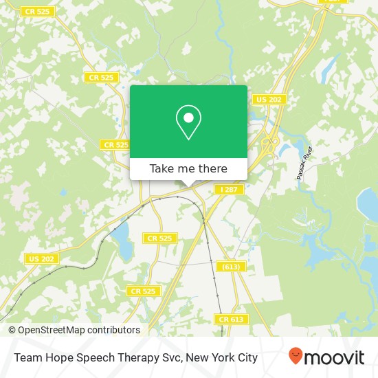 Team Hope Speech Therapy Svc map