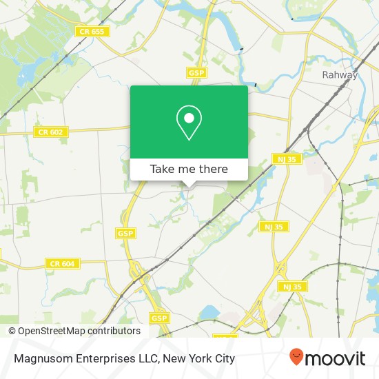 Magnusom Enterprises LLC map