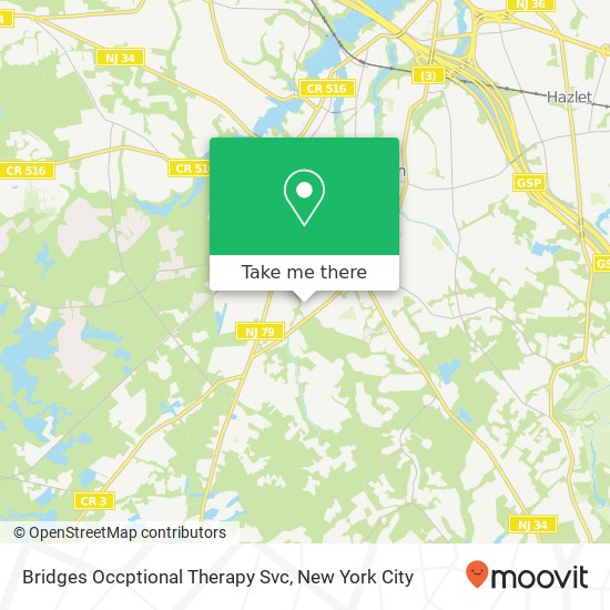 Mapa de Bridges Occptional Therapy Svc