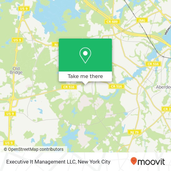 Executive It Management LLC map