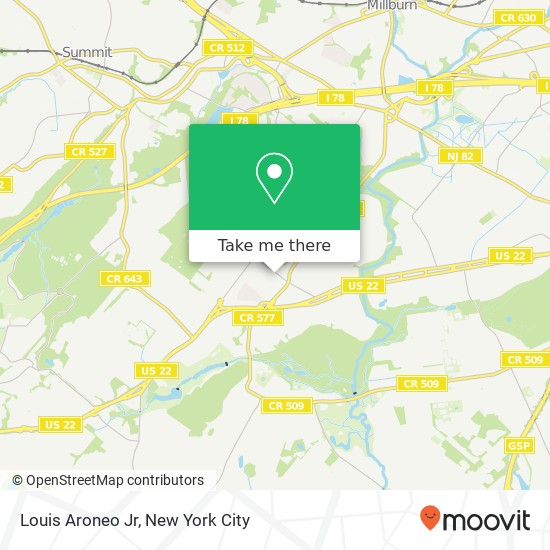 Louis Aroneo Jr map