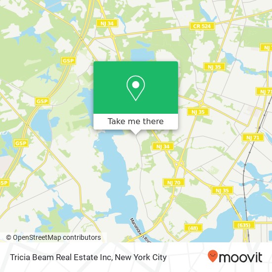 Tricia Beam Real Estate Inc map