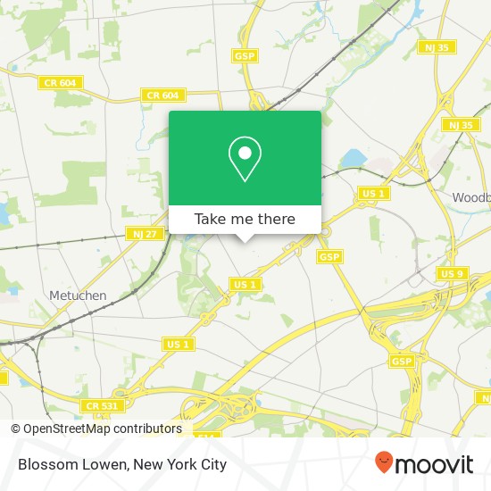 Blossom Lowen map