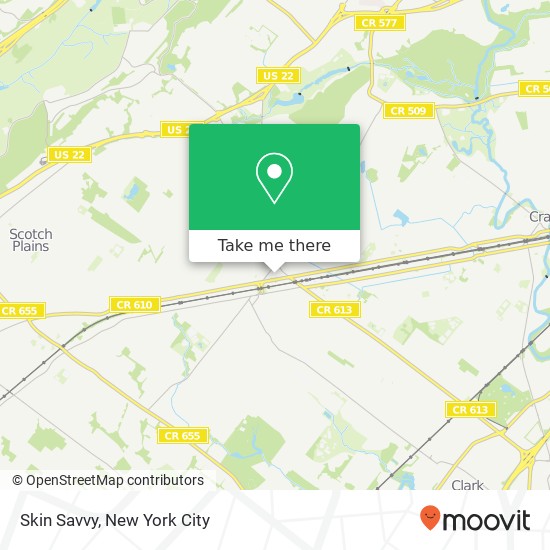 Skin Savvy map
