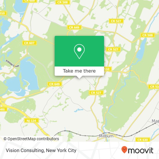 Vision Consulting map