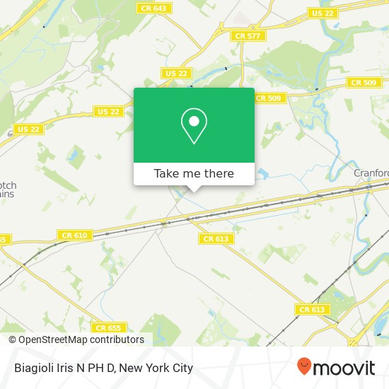 Biagioli Iris N PH D map