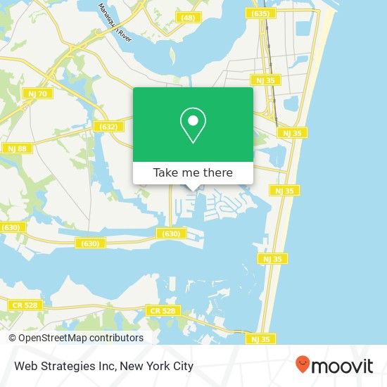 Web Strategies Inc map