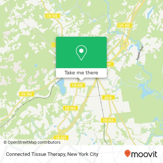 Mapa de Connected Tissue Therapy
