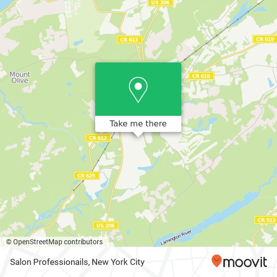 Salon Professionails map