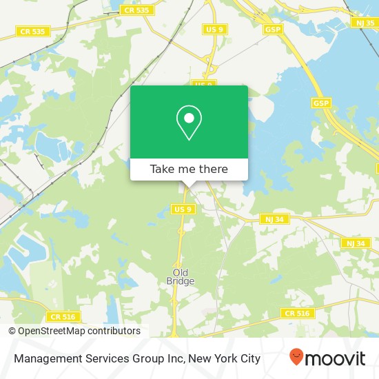 Management Services Group Inc map