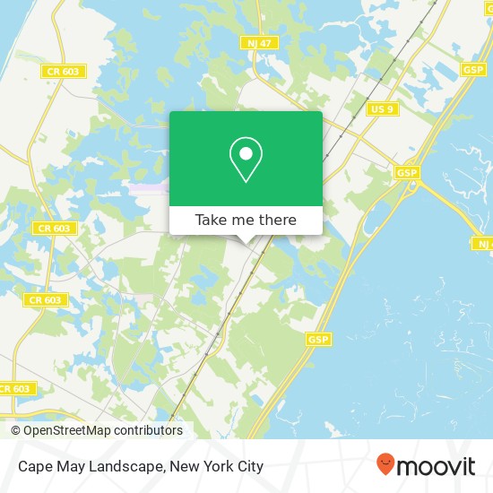 Cape May Landscape map
