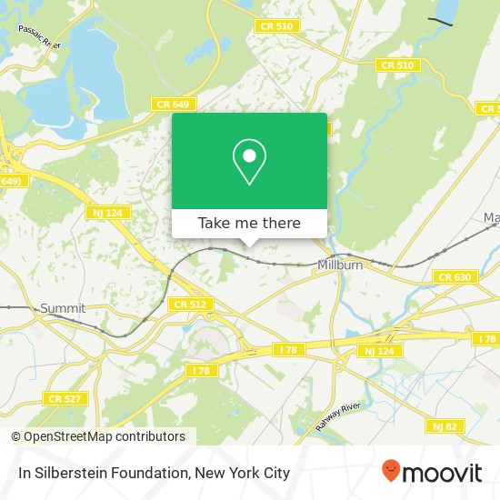 In Silberstein Foundation map
