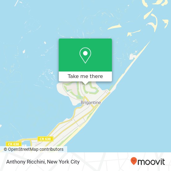 Anthony Ricchini map