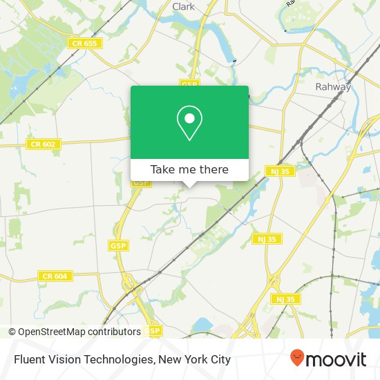 Fluent Vision Technologies map