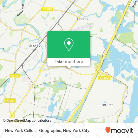 New York Cellular Geographic map