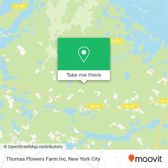 Thomas Flowers Farm Inc map