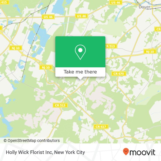 Holly Wick Florist Inc map