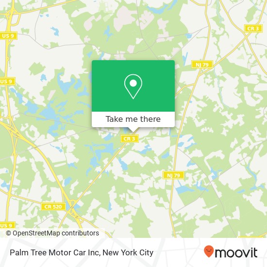 Palm Tree Motor Car Inc map