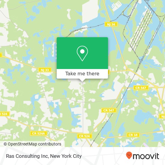 Ras Consulting Inc map