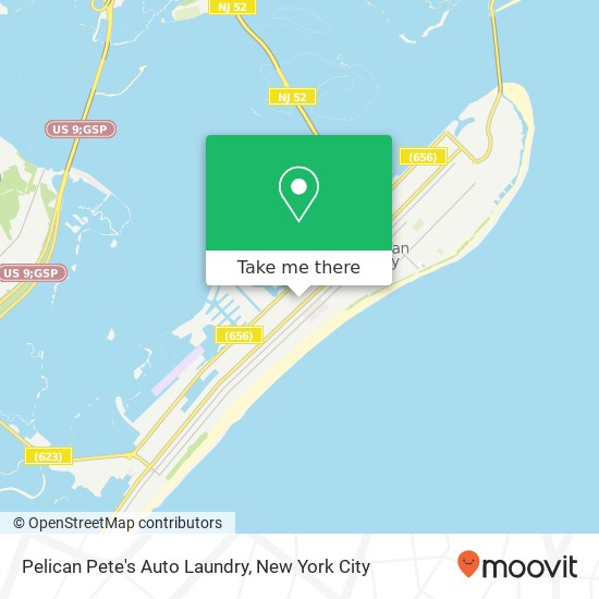 Pelican Pete's Auto Laundry map