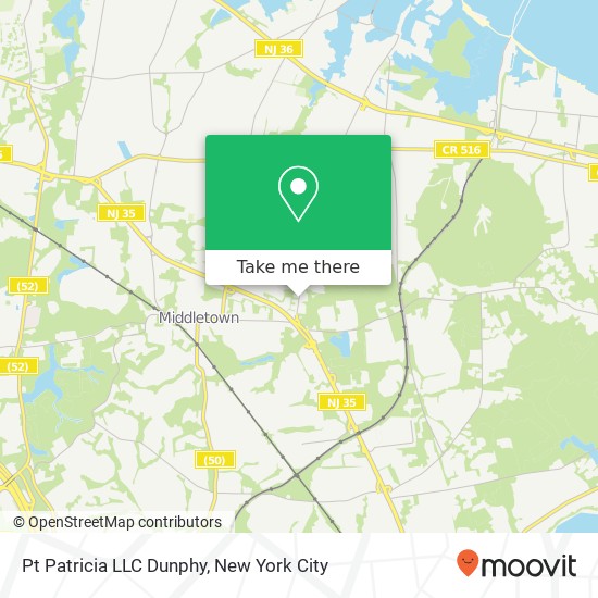Pt Patricia LLC Dunphy map