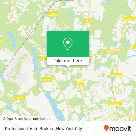 Professional Auto Brokers map