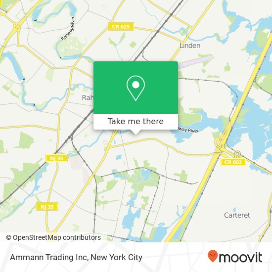 Ammann Trading Inc map