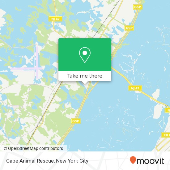 Mapa de Cape Animal Rescue