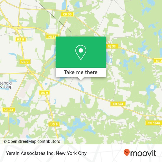 Yersin Associates Inc map
