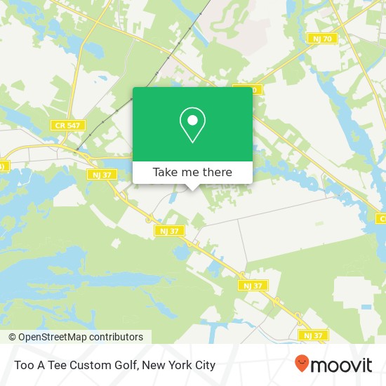 Too A Tee Custom Golf map