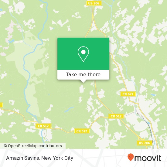 Mapa de Amazin Savins