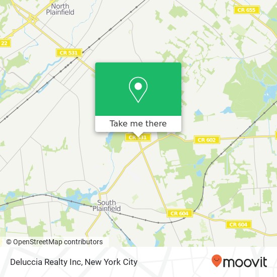 Deluccia Realty Inc map