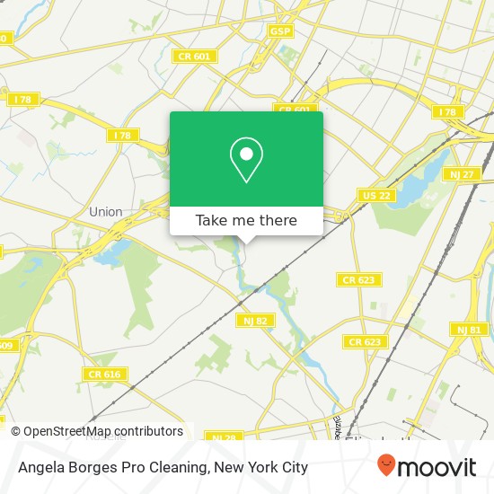 Angela Borges Pro Cleaning map
