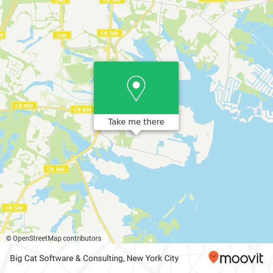 Big Cat Software & Consulting map