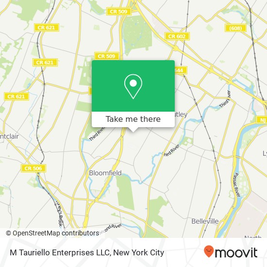 M Tauriello Enterprises LLC map