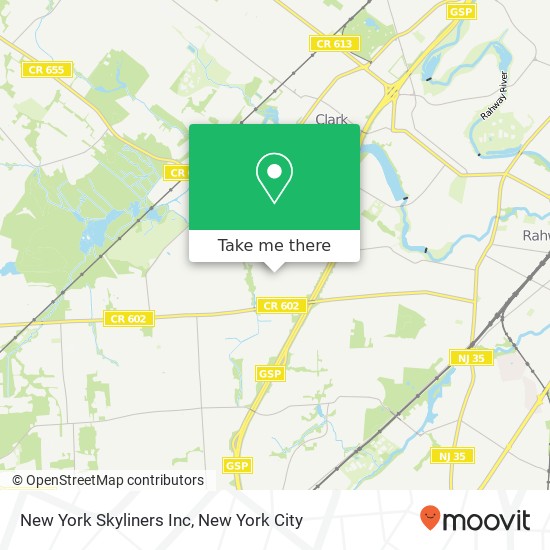 New York Skyliners Inc map