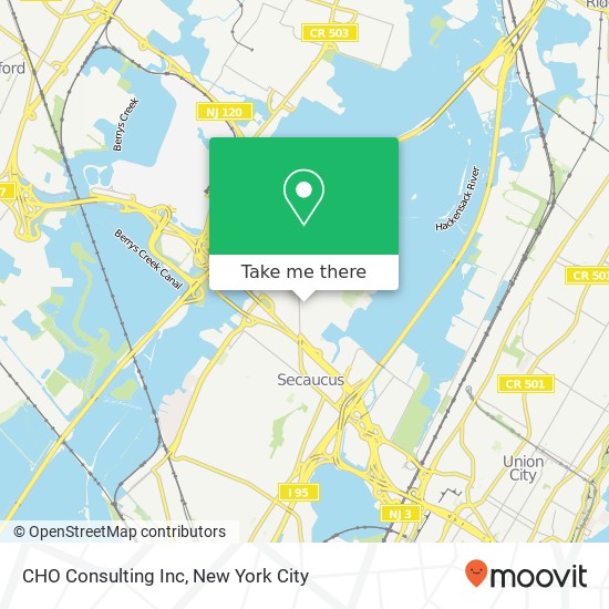 CHO Consulting Inc map