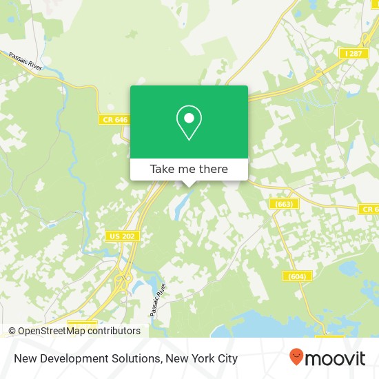 Mapa de New Development Solutions