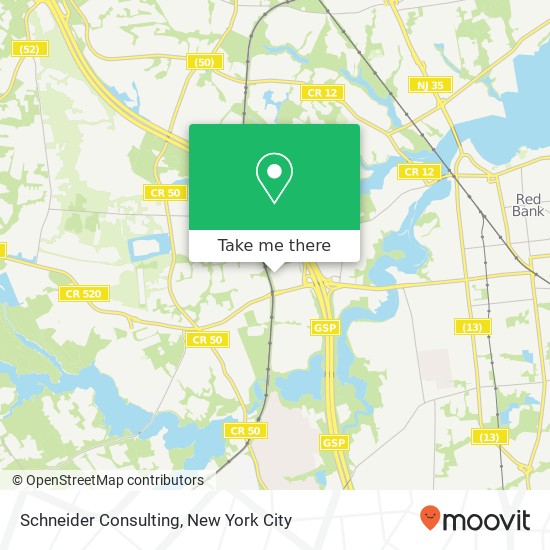 Schneider Consulting map