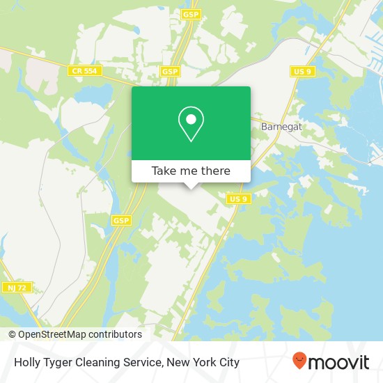 Mapa de Holly Tyger Cleaning Service