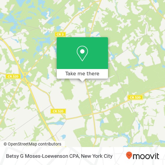 Betsy G Moses-Loewenson CPA map