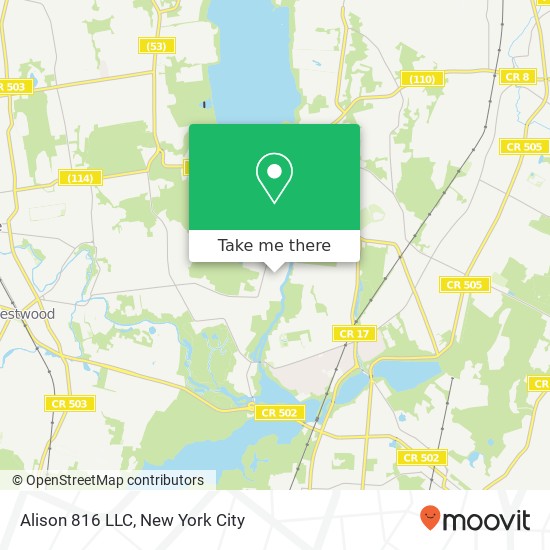 Alison 816 LLC map