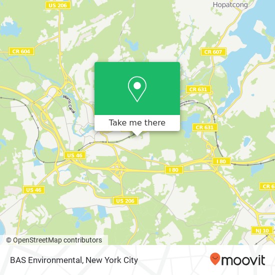 BAS Environmental map