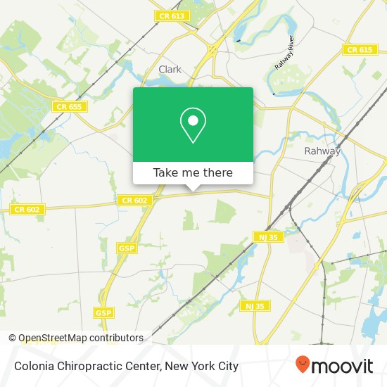 Colonia Chiropractic Center map