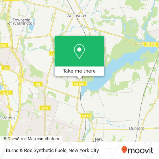 Mapa de Burns & Roe Synthetic Fuels